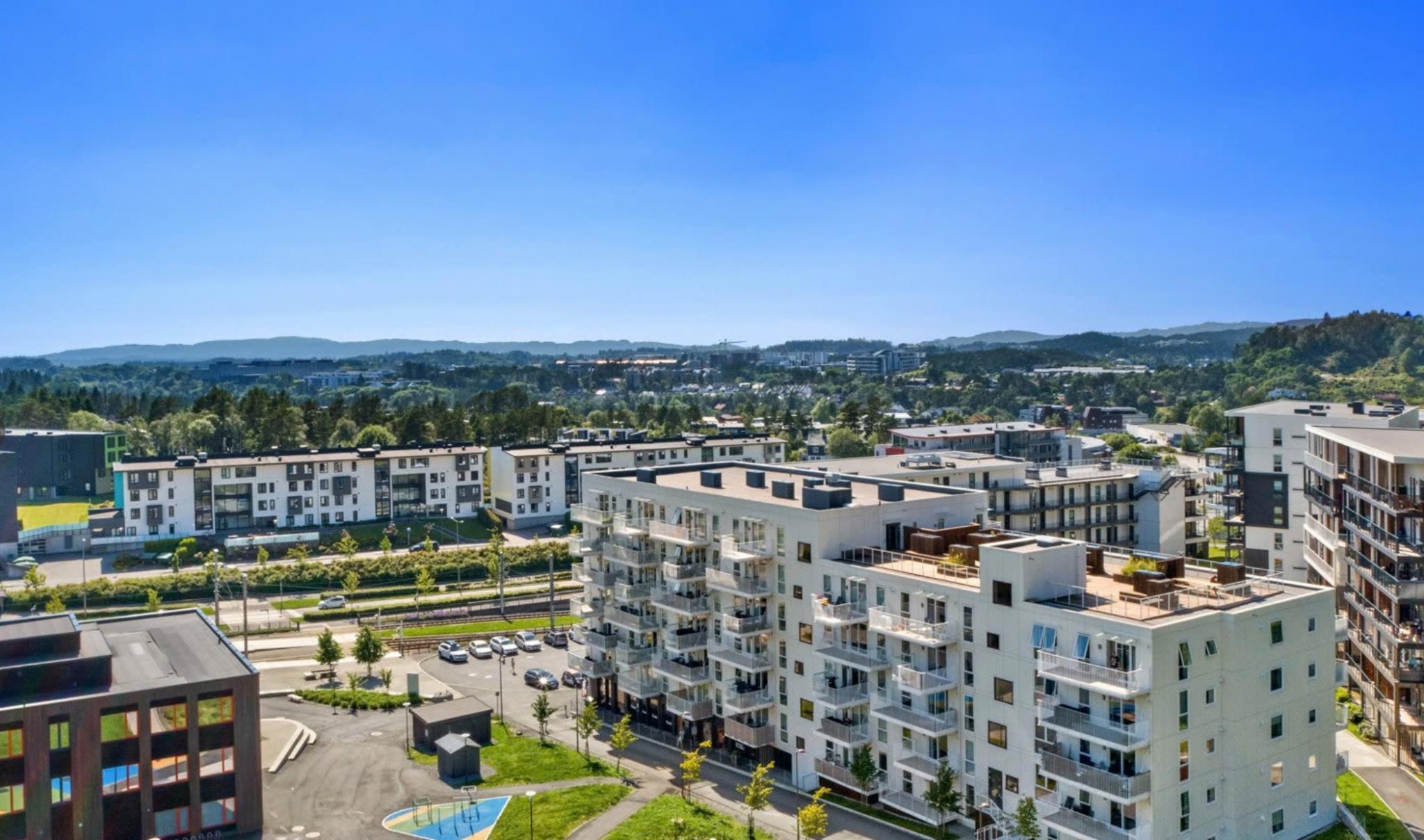 Tomten er pent opparbeidet med interne veier, gressplen og beplanting.